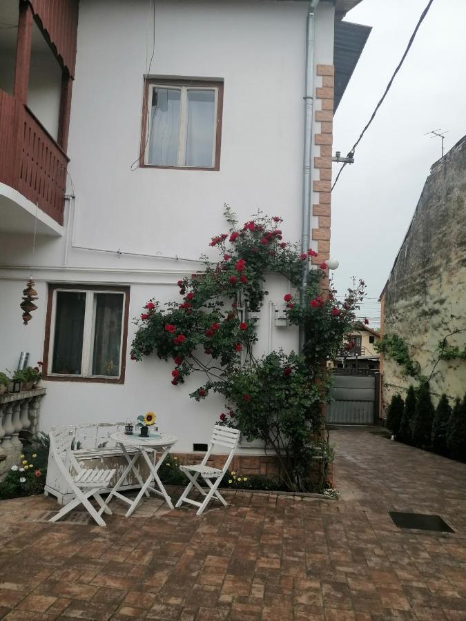 Helga House Pansiyon Turda Dış mekan fotoğraf